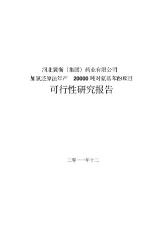 加氢还原法年产20000吨对氨基酚项目可行性研究报告