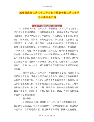 城管局践行三严三实工作方案与城管干部三严三实学习心得体会汇编