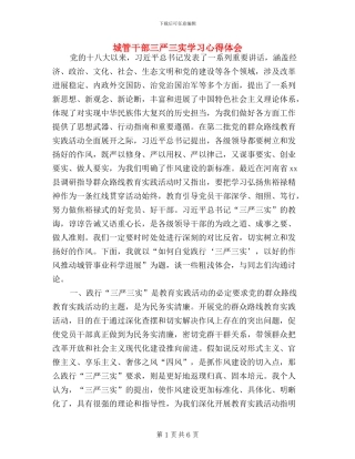 城管干部三严三实学习心得体会