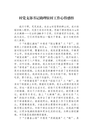 村党支部书记助理驻村工作心得感悟