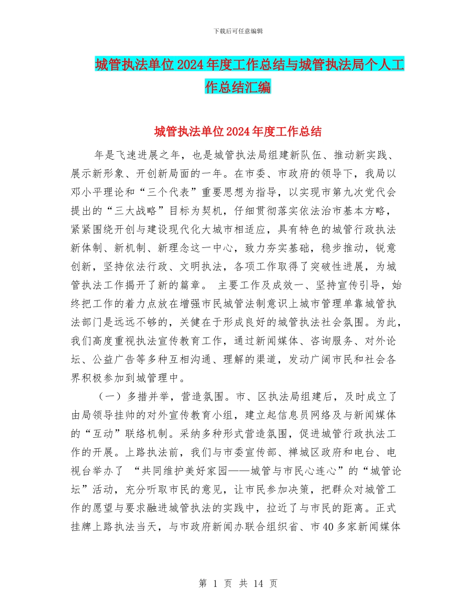 城管执法单位2024年度工作总结与城管执法局个人工作总结汇编_第1页