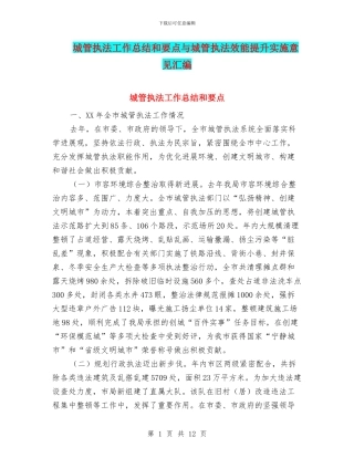 城管执法工作总结和要点与城管执法效能提升实施意见汇编