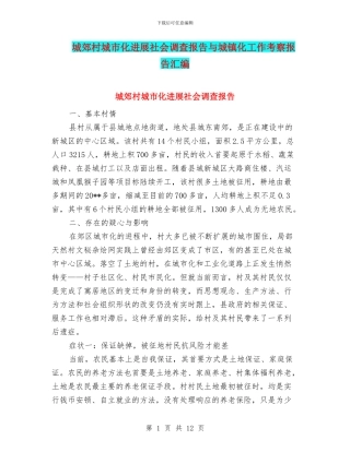 城郊村城市化发展社会调查报告与城镇化工作考察报告汇编