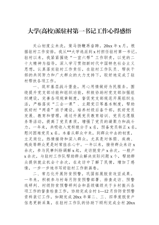 大学(高校)派驻村第一书记工作心得感悟