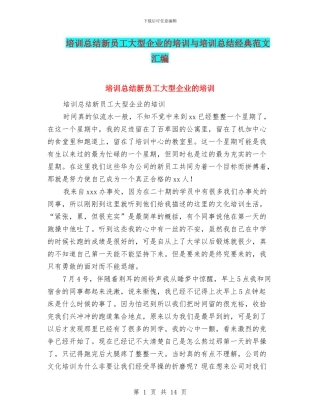 培训总结新员工大型企业的培训与培训总结经典范文汇编