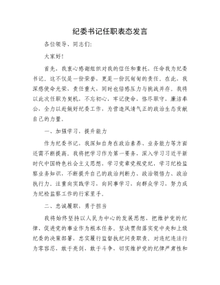 纪委书记任职表态发言