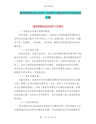 基层供销社综合改革工作报告与基层信用社年终总结汇编