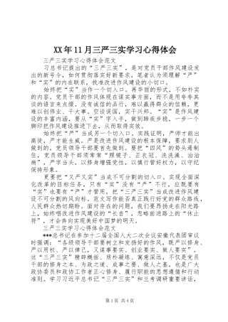 XX年11月三严三实学习心得体会