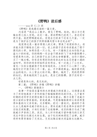 《野鸭》读后感