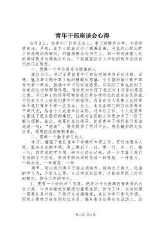 青年干部座谈会心得