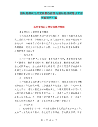 基层党组织分类定级整改措施与基层党组织建设工作考察报告汇编