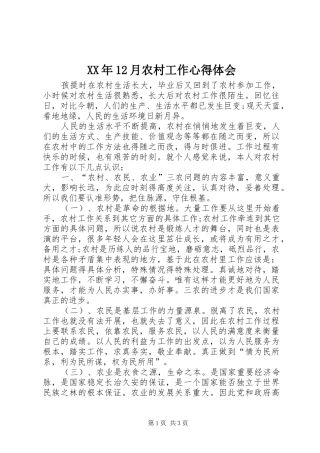 XX年12月农村工作心得体会