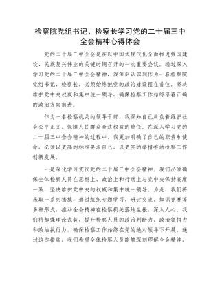 检察院党组书记、检察长学习党的二十届三中全会精神心得体会