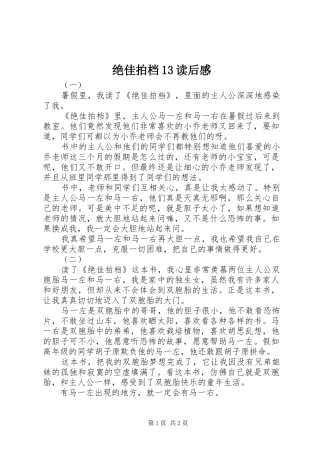 绝佳拍档13读后感