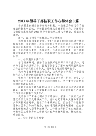 20XX年领导干部挂职工作心得体会3篇