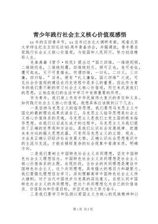 青少年践行社会主义核心价值观感悟