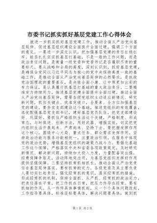 市委书记抓实抓好基层党建工作心得体会