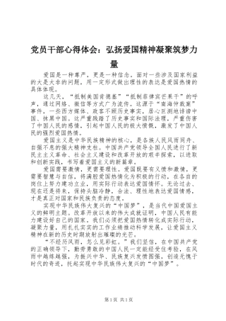 党员干部心得体会：弘扬爱国精神凝聚筑梦力量