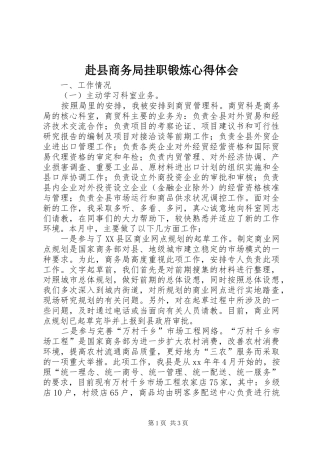 赴县商务局挂职锻炼心得体会