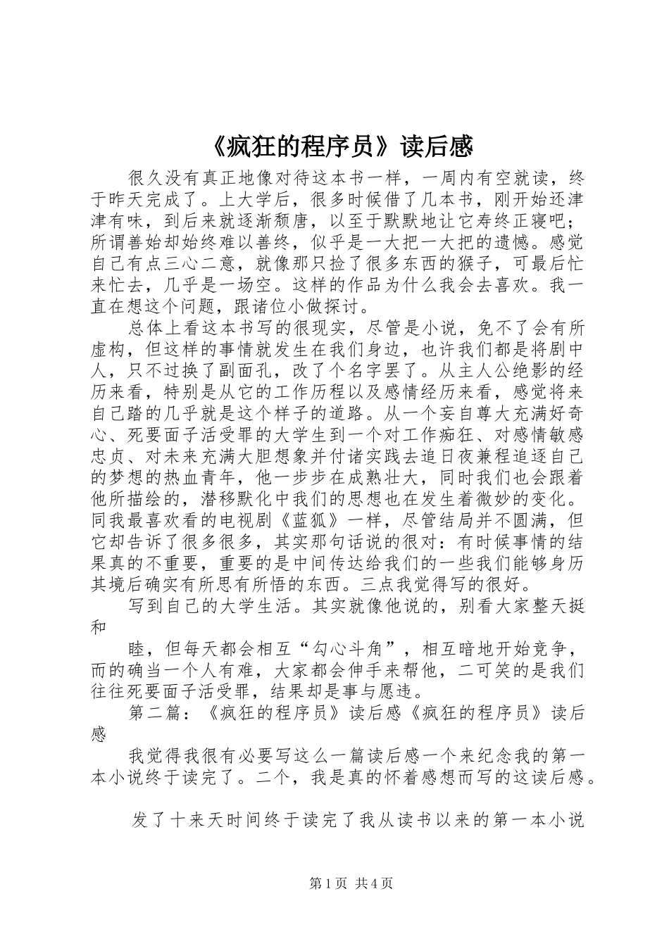 《疯狂的程序员》读后感_第1页