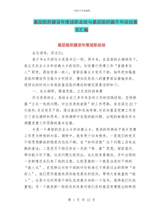 基层组织建设年度述职总结与基层组织提升年活动意见汇编