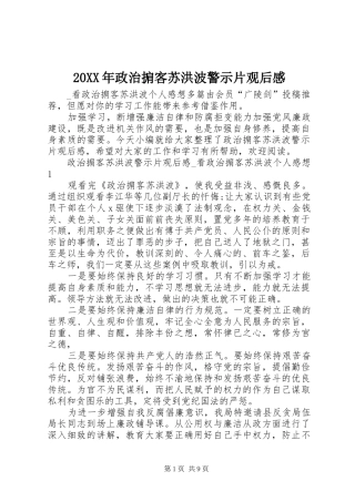 20XX年政治掮客苏洪波警示片观后感
