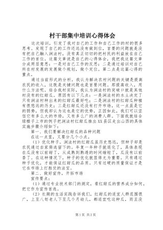 村干部集中培训心得体会