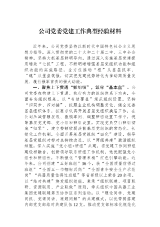 公司党委党建工作典型经验材料