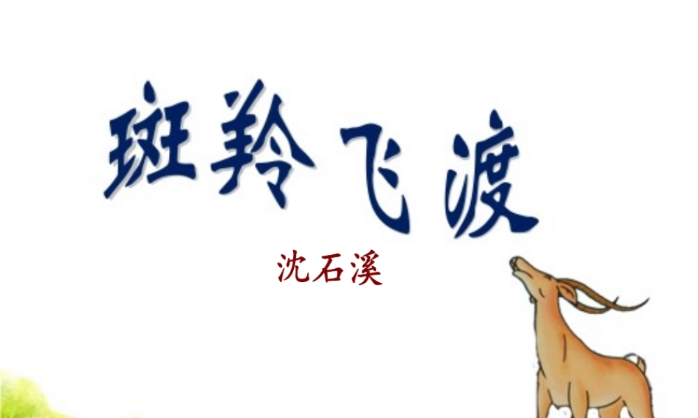 斑羚飞渡二中