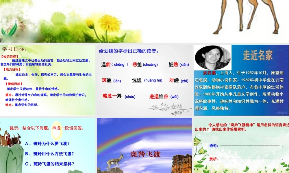斑羚飞渡二中