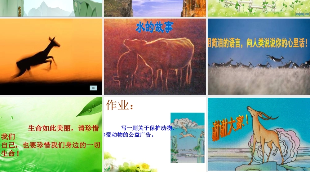 斑羚飞渡二中