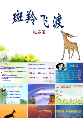斑羚飞渡二中