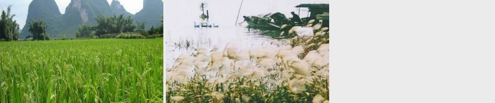 小小竹排画中游PPT