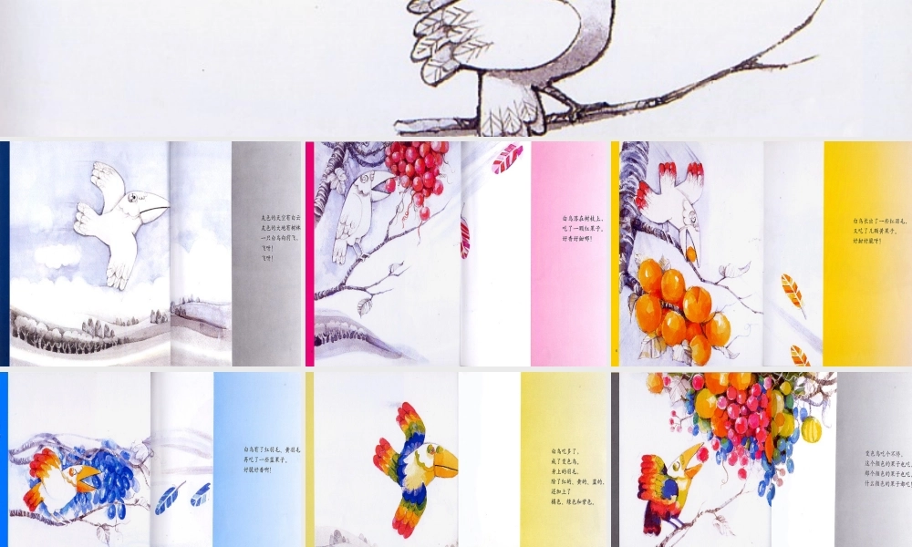 教学课件——变色鸟