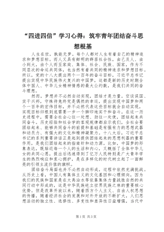 “四进四信”学习心得：筑牢青年团结奋斗思想根基