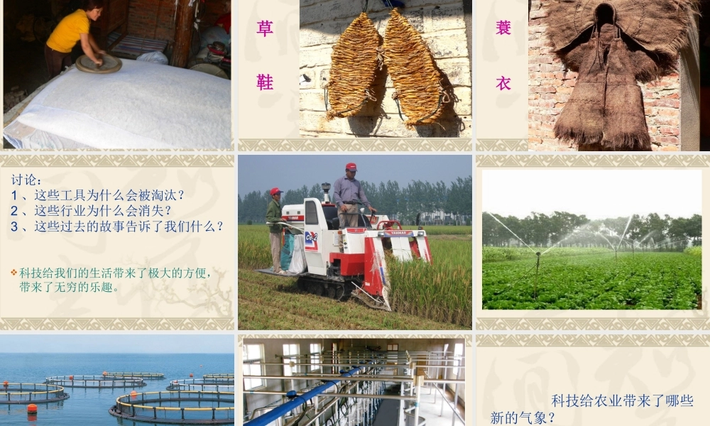 《插上科技的翅膀》课件