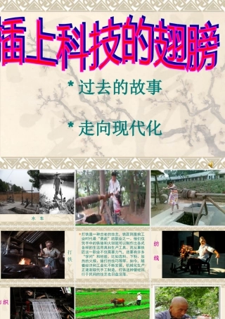 《插上科技的翅膀》课件