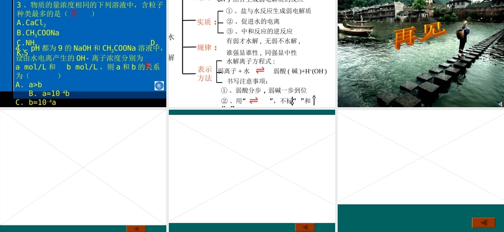 盐类的水解（第一课时）