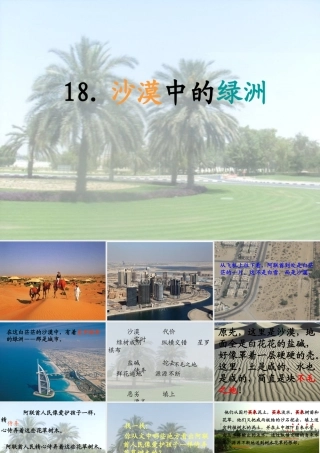 沙漠中的绿洲一