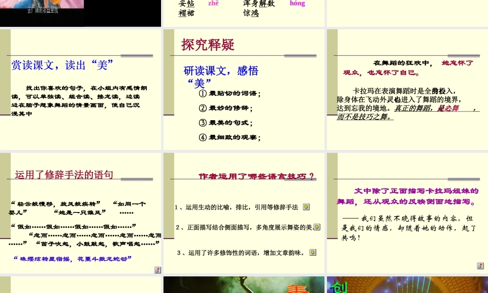 观舞记PPT