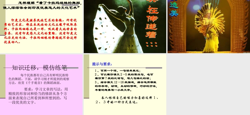 观舞记PPT
