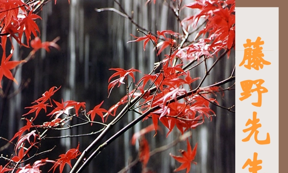 《藤野先生》授课课件