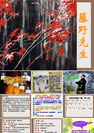 《藤野先生》授课课件
