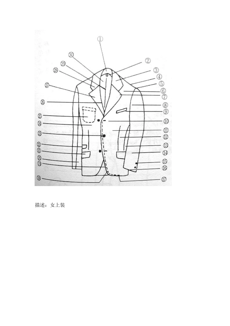 服装测量部位名称中英文对照_第3页