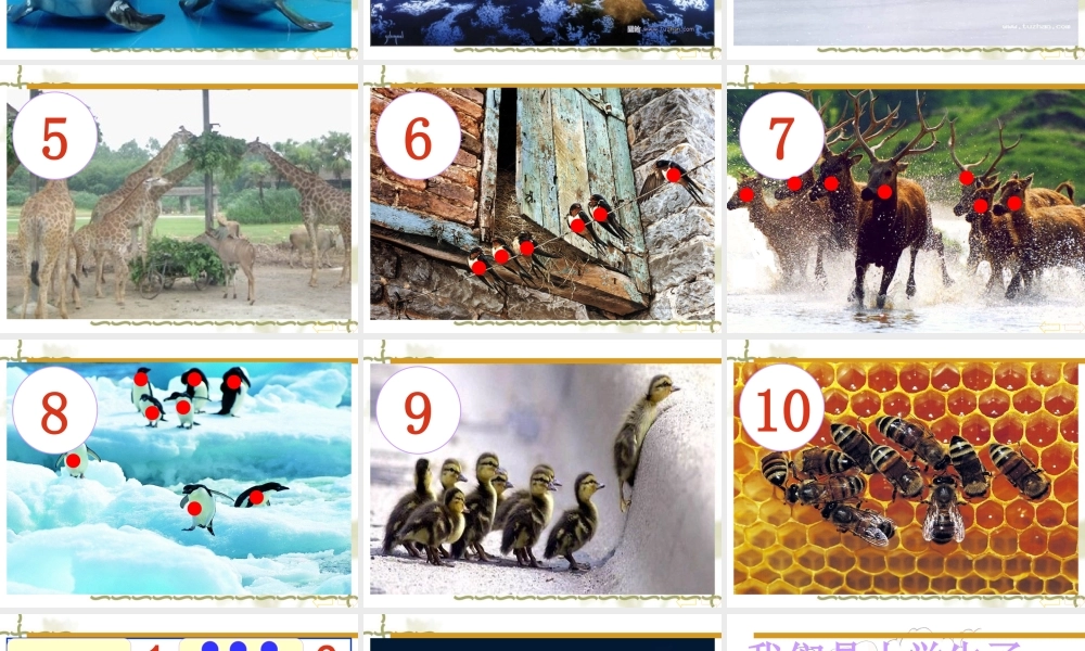 人教版一上第一单元第一课数一数