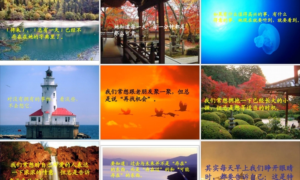 PPT：特别的日子