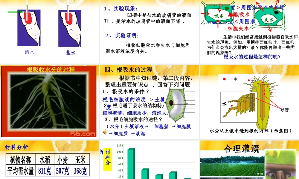 根对水分的吸收——双城忠植中学赵春光