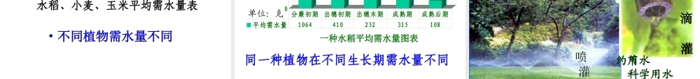 根对水分的吸收——双城忠植中学赵春光