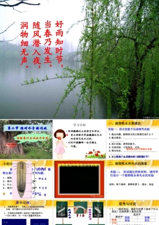 根对水分的吸收——双城忠植中学赵春光