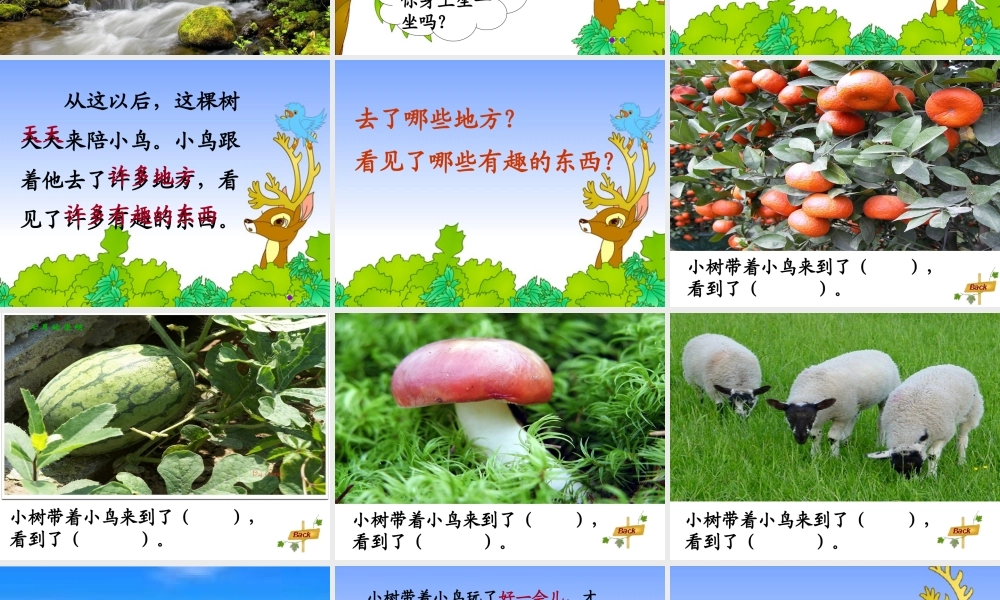 《会走路的树》教学课件